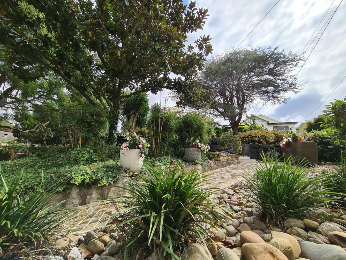 Vista Unit Close To The City & Airport & Train Station And Brighton Le Sands Beach Sydney Exteriör bild
